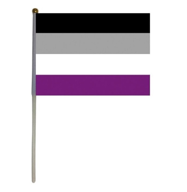 Aseksuel Pride-flag 14 x 21 cm 1