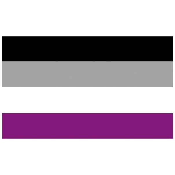 Asexuell Pride Flagga 90 x 150 cm 1