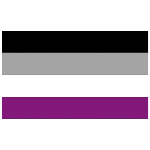 Asexuelle Pride-Flagge 90 x 150 cm 1