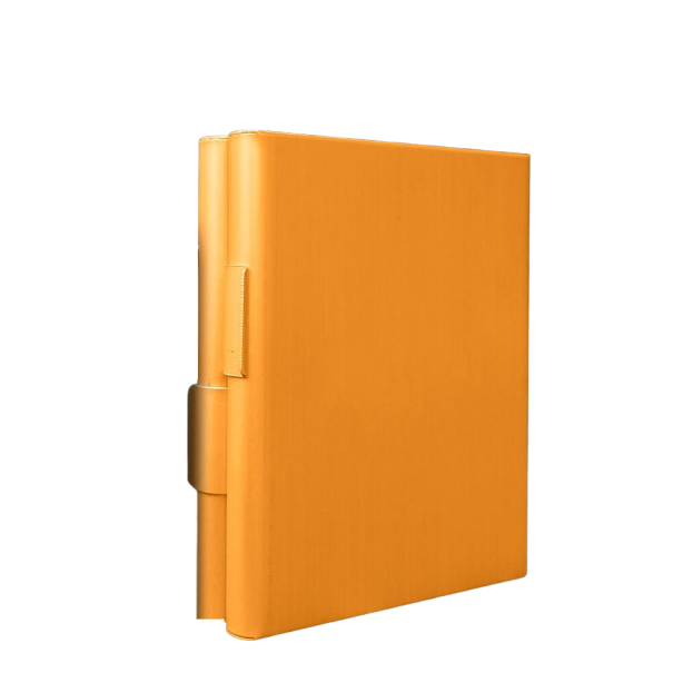 Astuccio per sigarette P3419 arancione