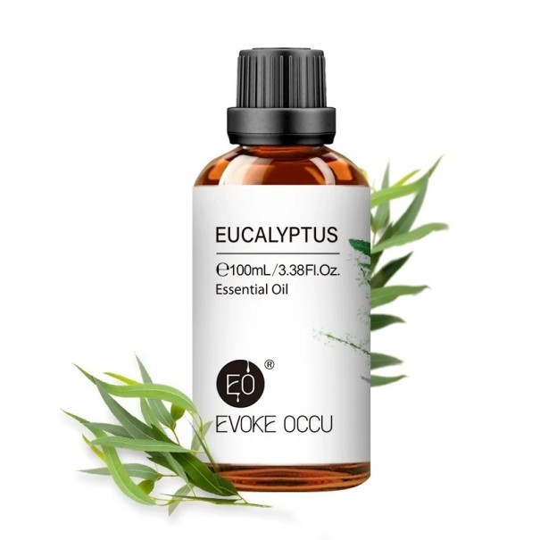 Ätherisches Öl für Diffusor Natürliche Duftöle Öl mit 100 % natürlichem Aroma 100 ml Eucalyptus