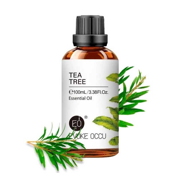 Ätherisches Öl für Diffusor Natürliche Duftöle Öl mit 100 % natürlichem Aroma 100 ml TeaTree