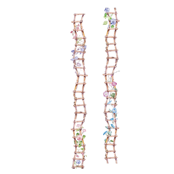 Átlátszó dekoratív szalag 2,5 x 200 cm virágos létra mintával Finom átlátszó szalag virágokkal kreatív díszítéshez és dekorációhoz 1