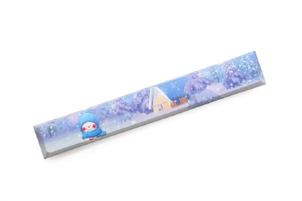 Austauschbare Leertaste mit K402-Aufdruck 1