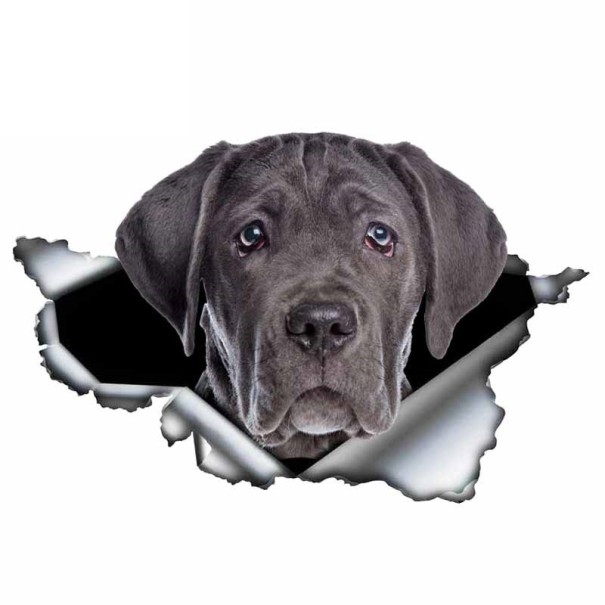 Autocolante de cão A1636 7