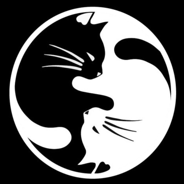 Autocolante de gato prateado