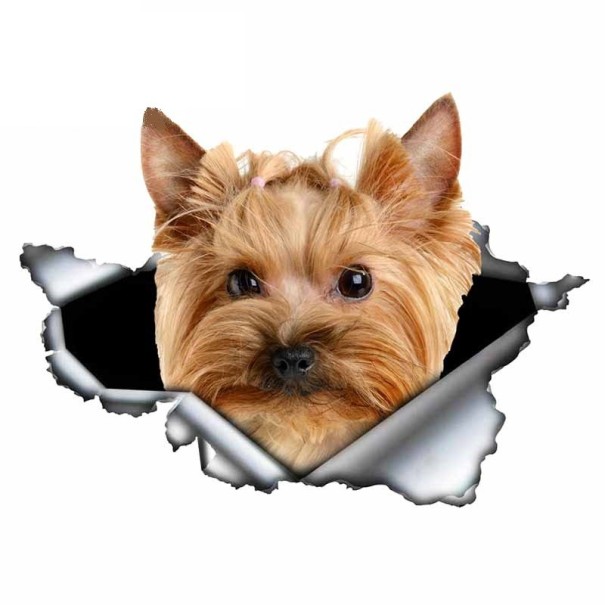 Autocolante para carro cão 2