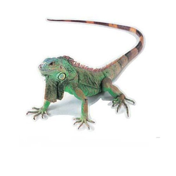 Autocollant 3D animal 3