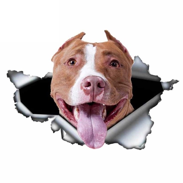 Autocollant chien A1637 8