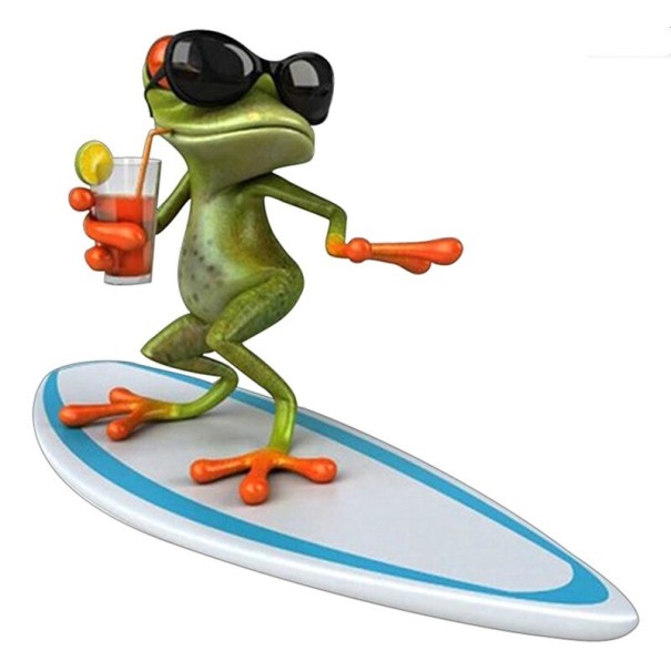 Autocollant de grenouille 5