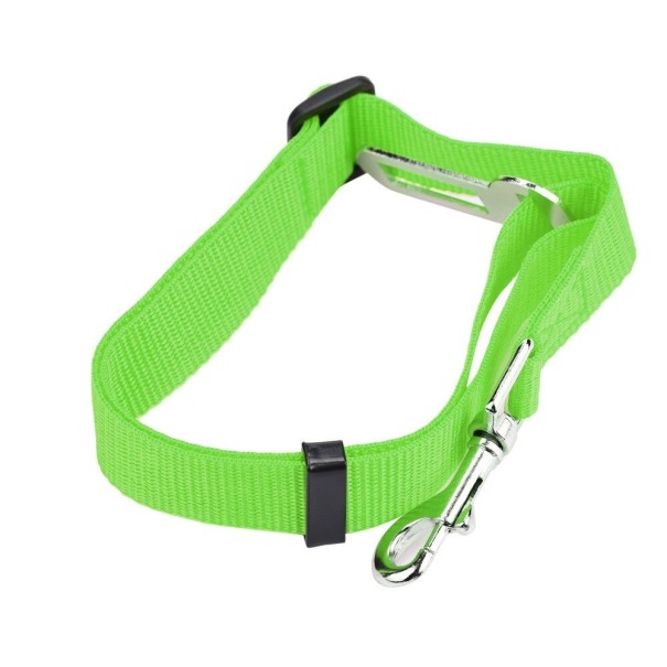 Autogordel voor honden groen