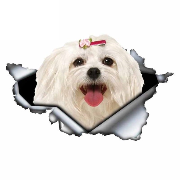 Autosticker hond A1632 2