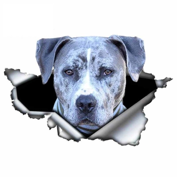 Autosticker hond A1637 3
