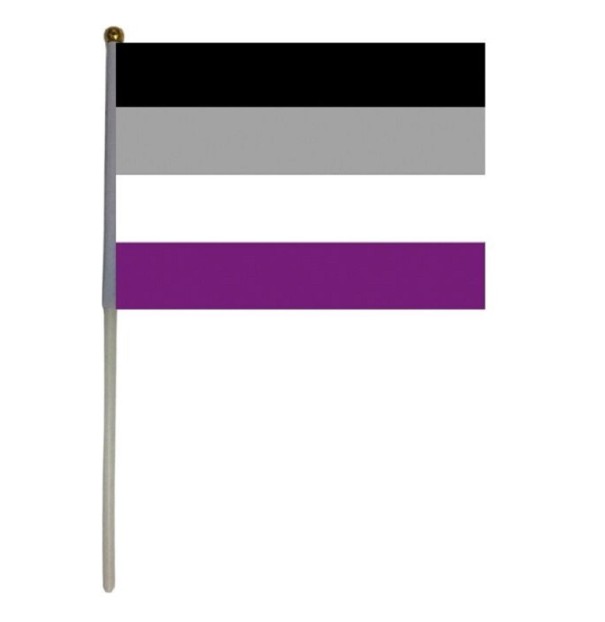 Az aszexuális büszkeség zászlaja 14 x 21 cm 1