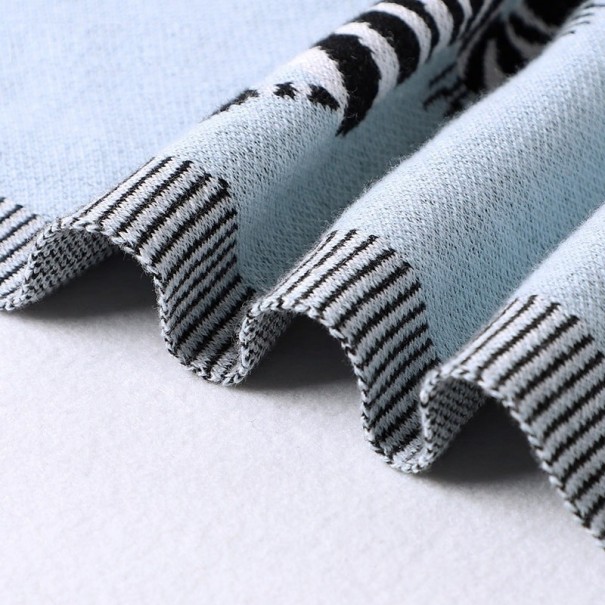Babyfilt med zebra