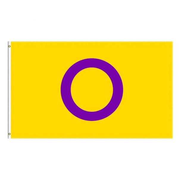 Bandeira de orgulho intersexuais 90 x 150 cm 1