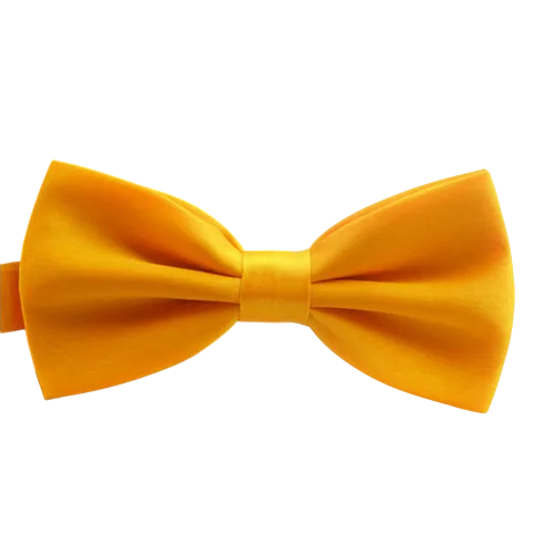 Barnfluga Elegant tillbehör Justerbar storlek Moderiktig design Perfekt för bröllop, fester, skolevenemang Kvalitetsmaterial Bekväm fastsättning orange