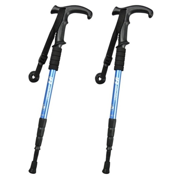 Bâton de trekking télescopique 65 - 135 cm 2 pcs bleu clair
