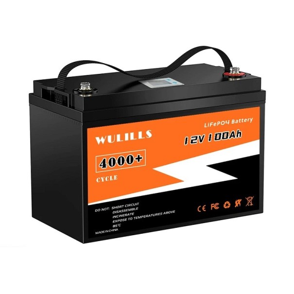 Batteria LiFePO4 Litio-ferro-fosfato 12V 100Ah Batteria con protezione contro acqua e polvere IP5 BMS integrato 34 x 18,5 x 22 cm 1