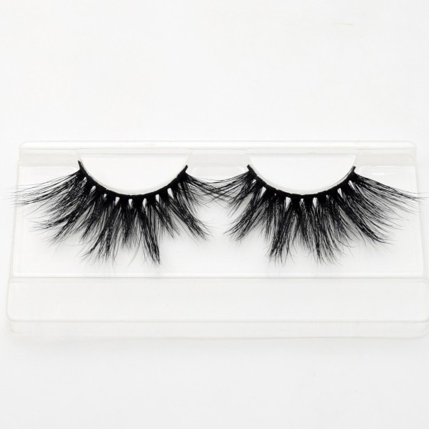 Beautiful Artificial Lashes 1