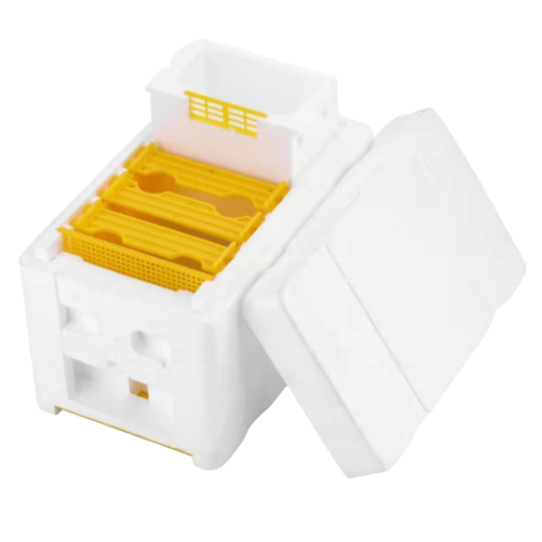 Bee Hive Made of Foam and Cedar Wood Bee Mini Breeding Box 24 x 16.5 x 15 cm 1