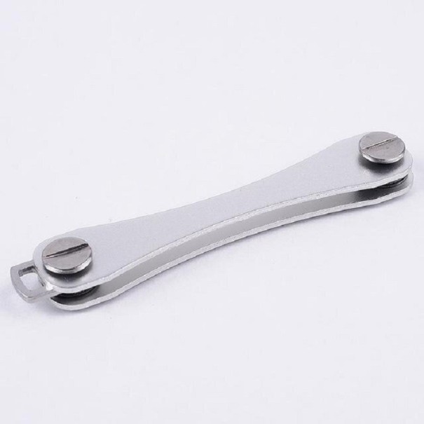 Belangrijkste organisator zilver