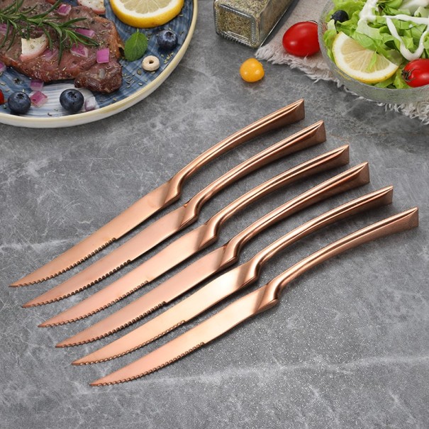Bestickkniv i rostfritt stål 6 st koppar