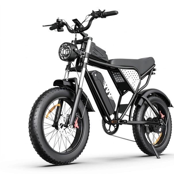 Bici elettrica da montagna Fat bike Motore 250 W Batteria 48 V 20 Ah Freni a disco idraulici Shimano 7 velocità Completamente ammortizzata Nera Per 1