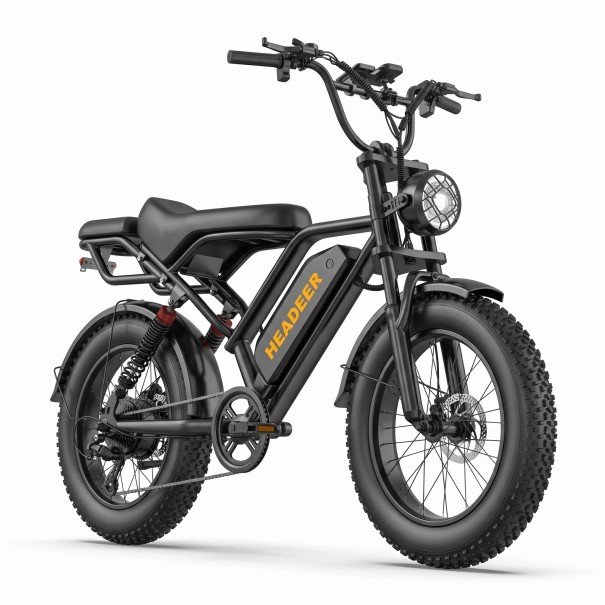 Bicicletta elettrica da montagna HEADEER Fat bike Batteria 48 V 20 Ah Display LCD Sospensione anteriore e posteriore Freni a disco Nera Per 1