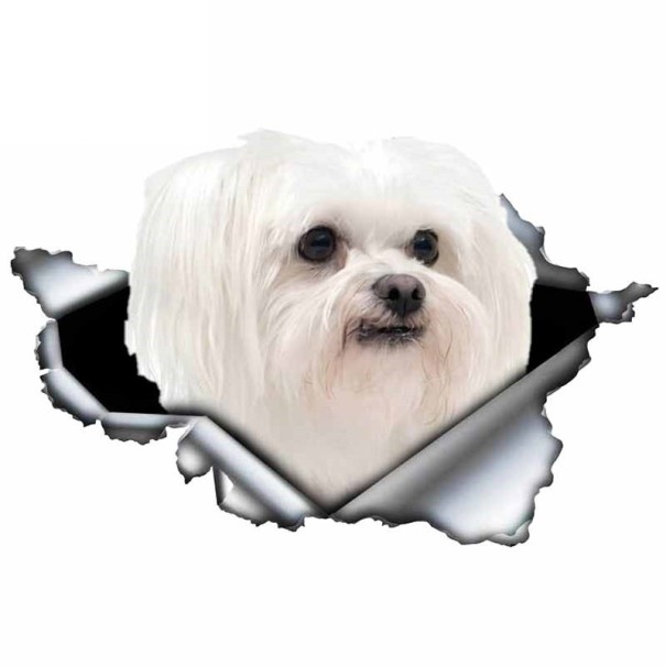 Bildekal hund A1632 8