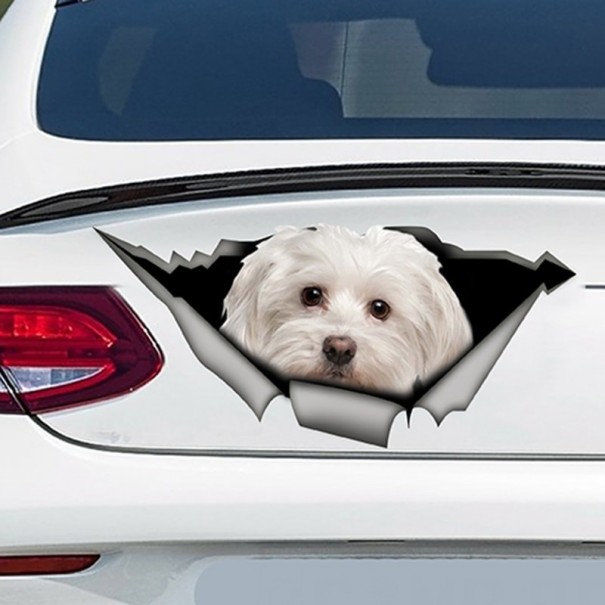 Bildekal hund A1632