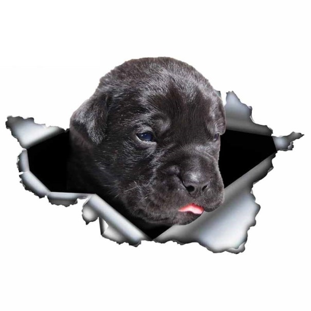 Bildekal hund A1636 6