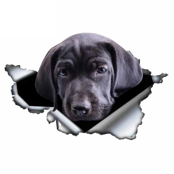 Bildekal hund A1636 9