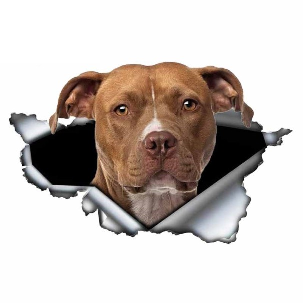 Bildekal hund A1637 11