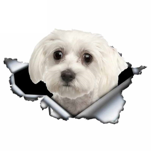 Bilklistermærke hund A1632 6