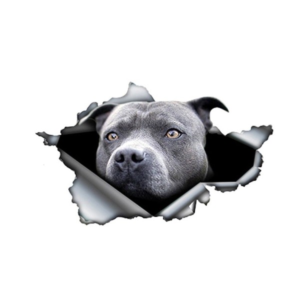 Bilklistermærke hund A1637 1