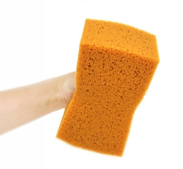 Bilvaskesvamp 1