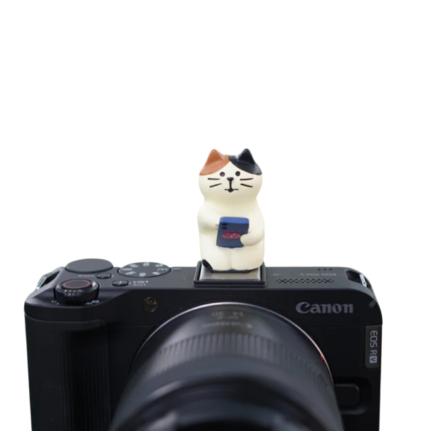 Blitzabdeckung für Kamera Universelle Halterung Dekoratives Schutzelement Motiv Katze mit Telefon für Sony Nikon Canon Fuji Pentax Leica Olympus 1