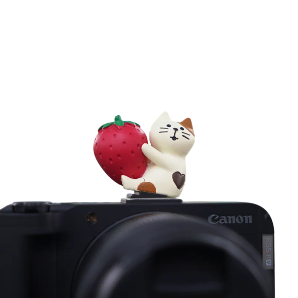 Blitzdæksel til kamera Sidende kat med jordbær i poten til Sony Nikon Canon Fuji Fujifilm Pentax Leica Olympus universel beskyttelse 1