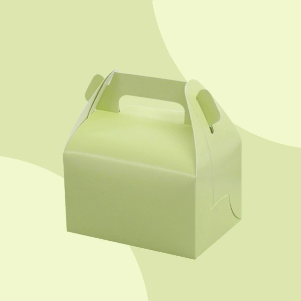 Boîte cadeau 10 pcs C632 vert clair S