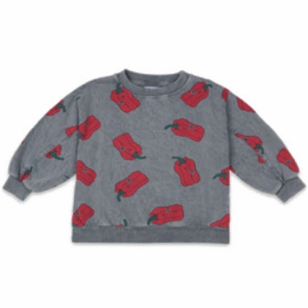 Børnesweatshirt L531 12-18 måneder E