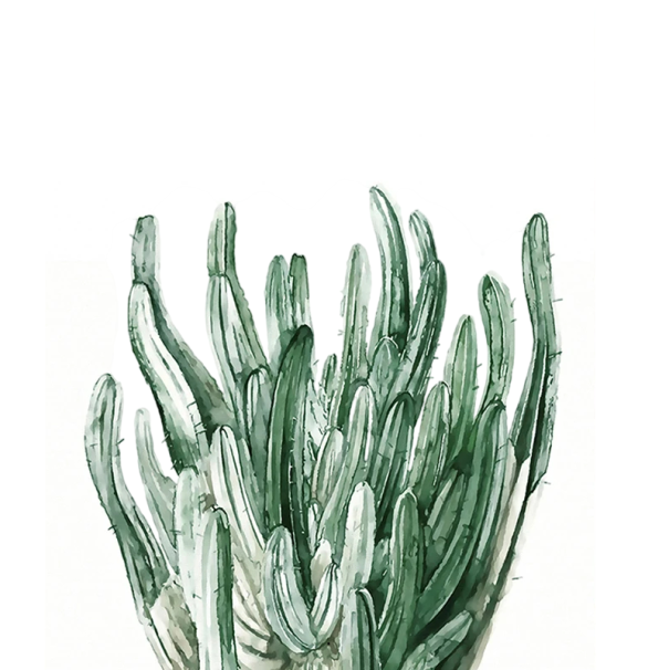 Botanický nástěnný plakát s kaktusem 13 × 18 cm tisk na plátno zelený přírodní motiv dekorace do interiéru bez rámu 1