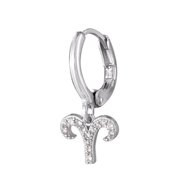 Boucles d'oreilles créoles pour femmes avec signe du zodiaque argenté 2