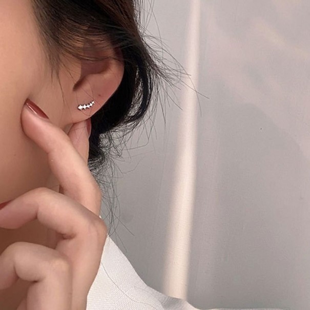 Boucles d'oreilles pour femmes avec des zirconiums G495 argenté 1