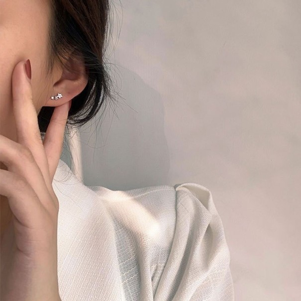 Boucles d'oreilles pour femmes avec des zirconiums G495 argenté 3