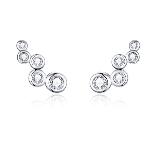 Boucles d'oreilles pour femmes avec pierres R58 argenté