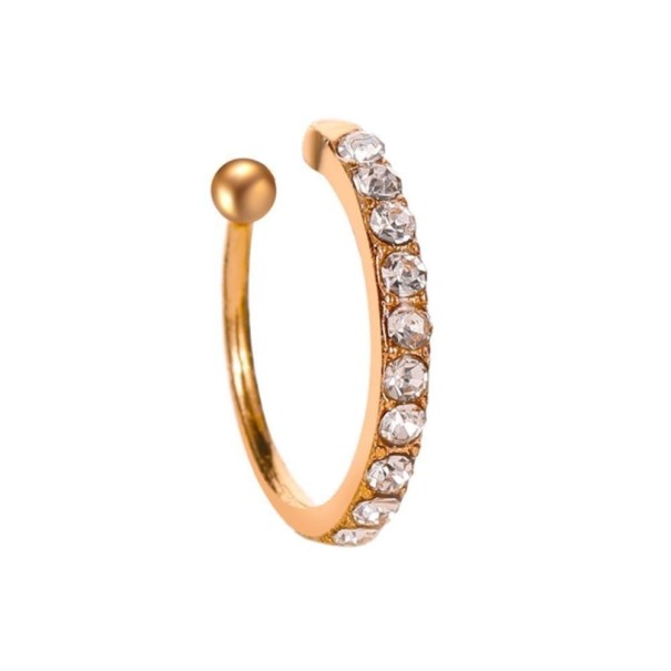 Boucles d'oreilles pour femmes avec zircon doré