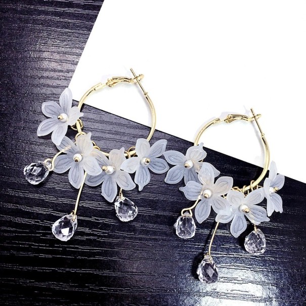 Boucles d'oreilles pour femmes G182 2