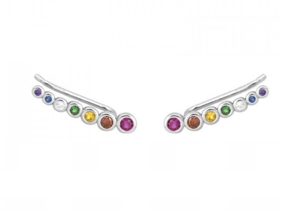 Boucles d'oreilles pour femmes H745 argenté 9