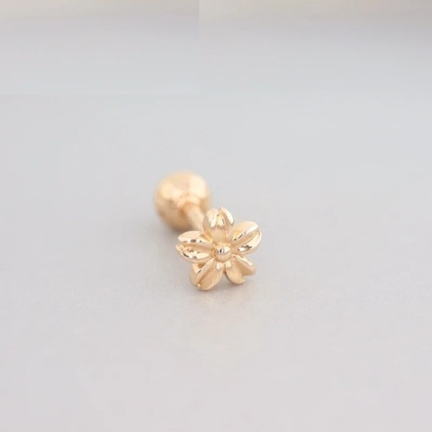 Boucles d'oreilles pour femmes R100 doré 2